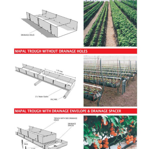 cannabis greenhouse