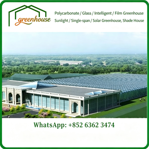 Planning & Design