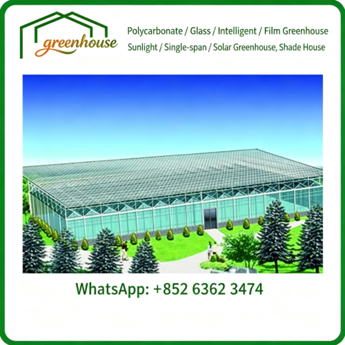 Planning & Design