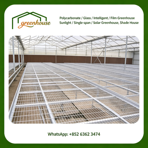 Seedbed