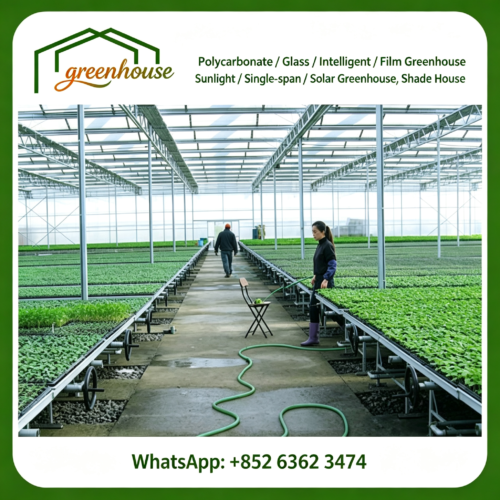 Seedbed - Seedbed - Greenhouse design and construction、 Park planning and design