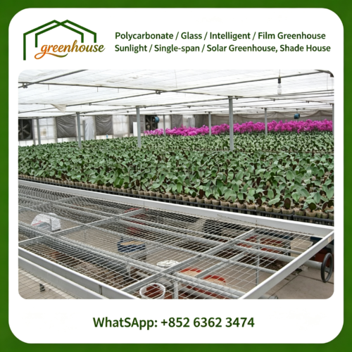 Seedbed - Seedbed - Greenhouse design and construction、 Park planning and design