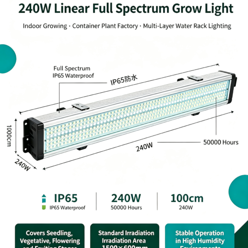 cannabis grow light