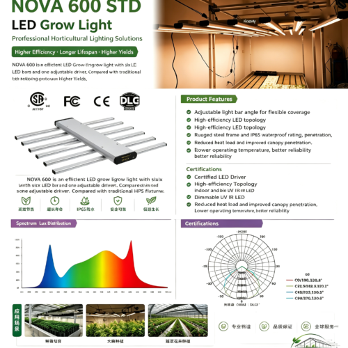 cannabis grow light