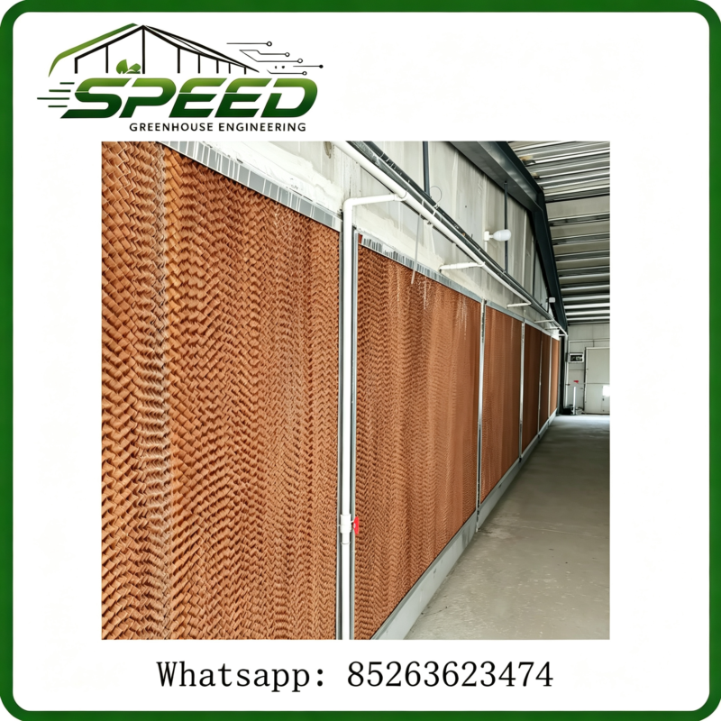 Cooling & Humidifying System