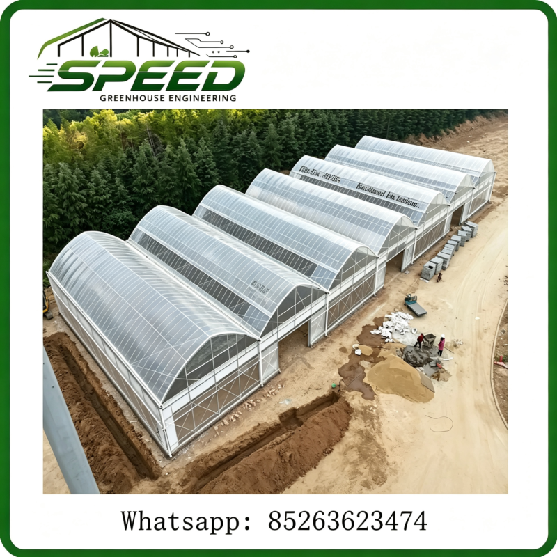 Greenhouse and Polytunnel