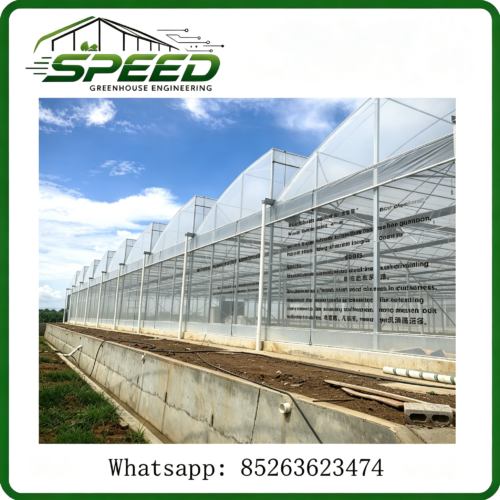 多跨薄膜温室 - Multi-span Plastic Film Greenhouse - Greenhouse design and construction、 Park planning and design