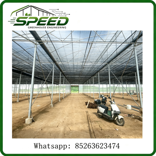 多跨薄膜温室 - Multi-span Plastic Film Greenhouse - Greenhouse design and construction、 Park planning and design