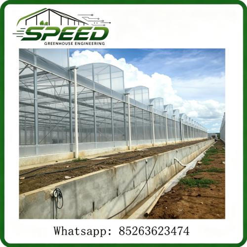 Multi-span Plastic Film Greenhouse