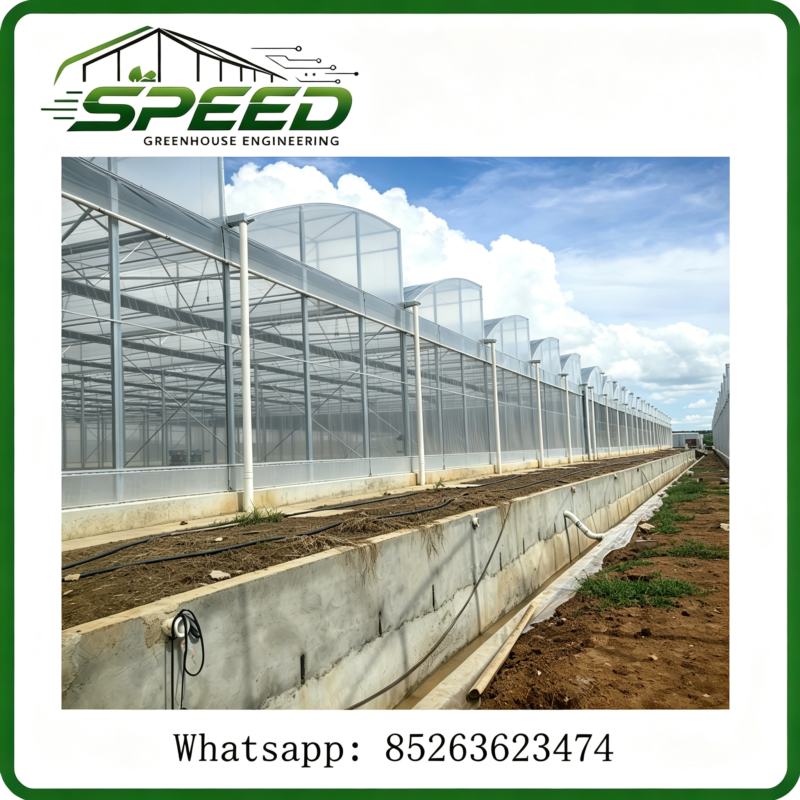 Greenhouse and Polytunnel