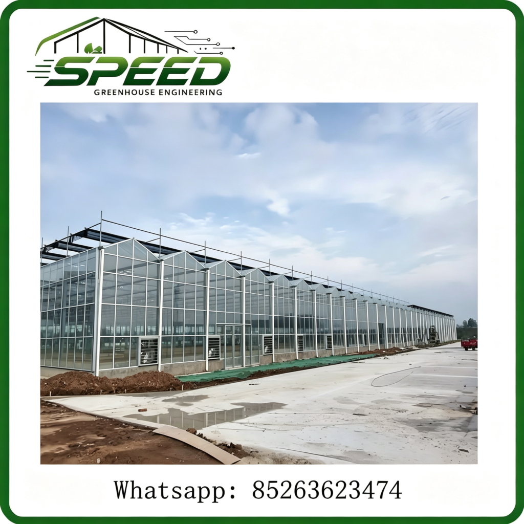 文洛型玻璃温室 - glass greenhouse - Greenhouse design and construction、 Park planning and design