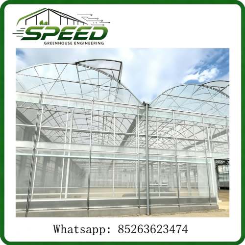 Multi-span Plastic Film Greenhouse