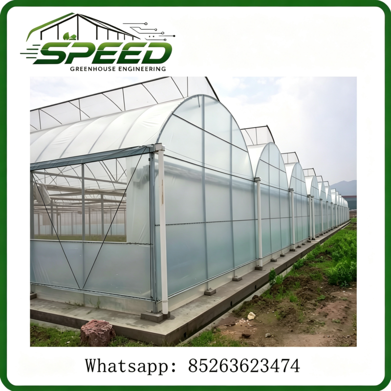 Greenhouse and Polytunnel