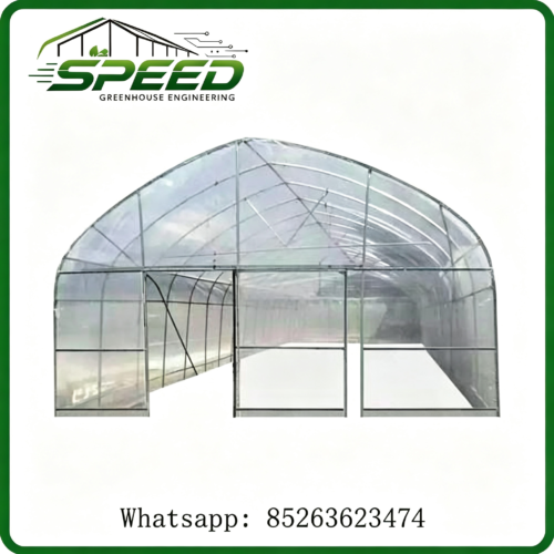 single-span polytunnel
